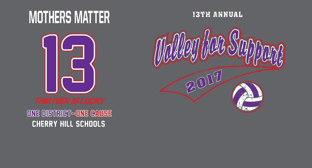 13th Annual Volley for Support